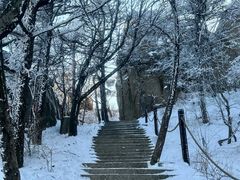 -崂山巨峰游览区