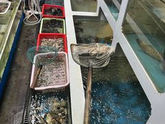 -后田海鲜餐厅(南澳香湖湾店)