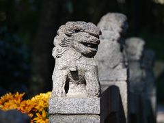 -汇龙潭