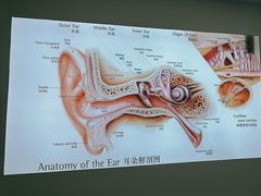 -自然之声助听器·呼吸机(康桥旗舰店)