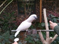 -南宫五洲植物乐园