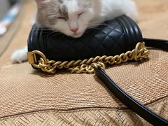 -CHANEL(ifs国际金融店)