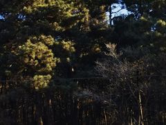 -棋盘山风景区