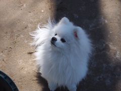 -顺鑫绿色度假村