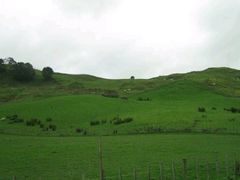 -怀托摩萤火虫洞