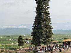 -新疆那拉提国家旅游度假区