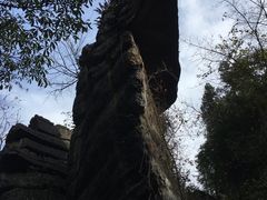 -梭布垭石林景区