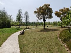 -上海长兴岛郊野公园