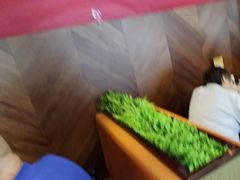 -蝎王府羊蝎子(虎坊桥总店)