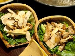 -滇野云南野生菌餐厅(陕西南路店)