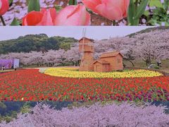 -苏州上方山国家森林公园