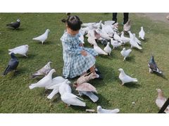 -南通洲际绿博园