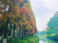 -升仙湖公园