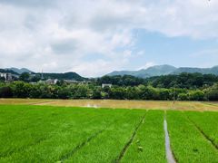 -韶山毛泽东同志故居