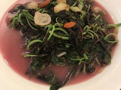 -福鼎轩海鲜大酒楼(皇轩酒店)