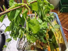 -江二娃串串香(科园四路总店)