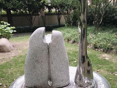 -陈家山荷花公园