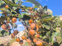 -大泽山风景名胜区