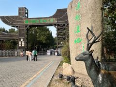 -溱湖国家湿地公园