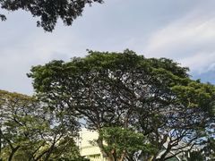 -新加坡总统府