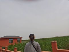 -乌梁素海景区