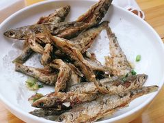 -全乐鱼馆·淳牌有机鱼直营店