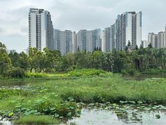 -中澳友谊花园