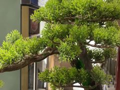 -华夏良子·足道SPA艾灸(铁道大厦店)