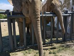 -新疆天山野生动物园