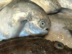 -合家小菜餐馆(新诚花苑店)