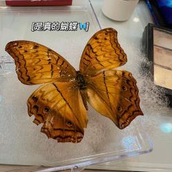 -WAVE SODA摄影工作室