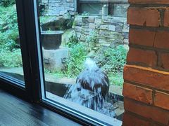 -泰莲庭·溪畔餐厅(雁栖湖店)