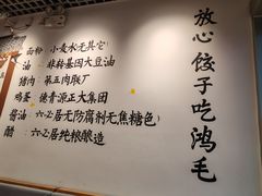 -鸿毛饺子(紫竹桥店)