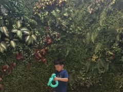 -郑州银基黄帝宫御温泉