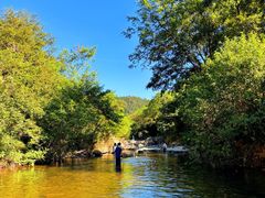 -北仑森林植物园