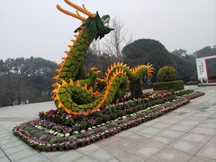 -南山植物园