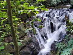 -莫里热带雨林景区