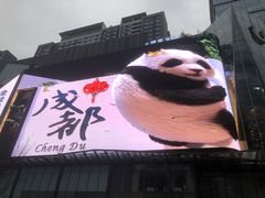 -合景·悠方(成都店)