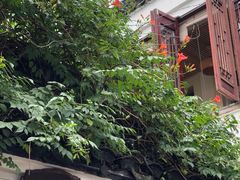 -金山嘴渔村