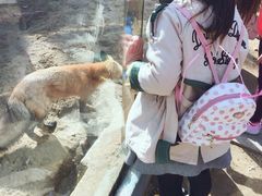 -无锡动物园·太湖欢乐园