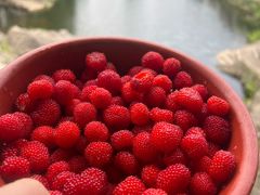 -鹿亭中村