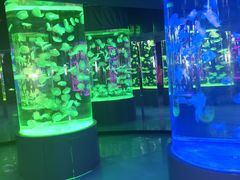 -石家庄极地海洋世界