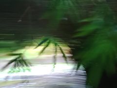 -成都市活水公园