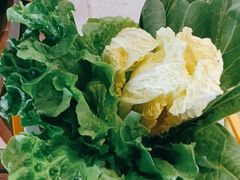 -季季红火锅(动壹店)