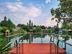 -抚仙湖万达文华酒店