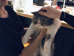-谷咖啡·鲜花绿植花园餐厅