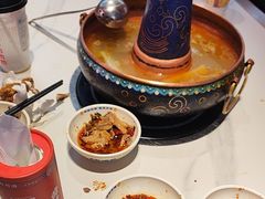 -董记老清泉·鲜切涮羊肉(窑岭店)