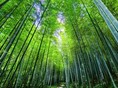 -南山风景名胜区