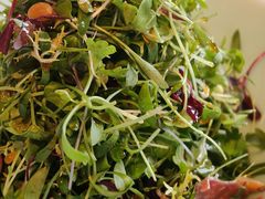 -三利音·浦之舟(滨江大道店)