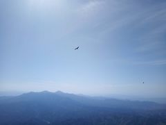 -灵山